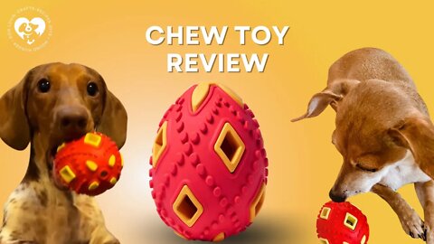 Interactive Puppy Teething Chew Toy Review