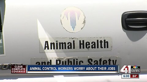 KCMO animal control workers fear losing jobs, pensions as city privatizes department
