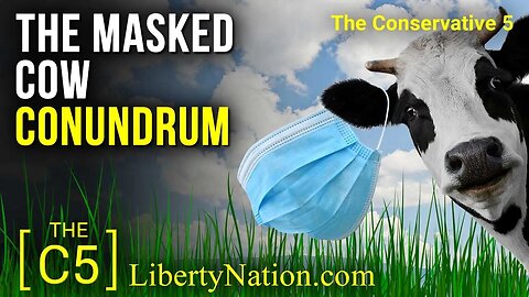 The Masked Cow Conundrum – C5 TV