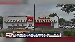 Dirty Dining: Steak 'n Shake shut down for a day after live roaches were seen crawling near food