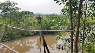 Jovem tenta atravessar "Ponte dos macacos" por cima de rio