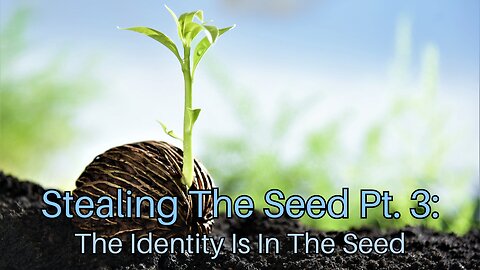Stealing The Seed Pt. 3: The Identity Is In The Seed
