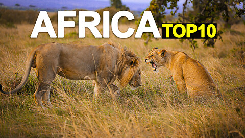 Amazing Things To Do in Africa | Top 10 Best Things To Do in Africa - Travel Guide