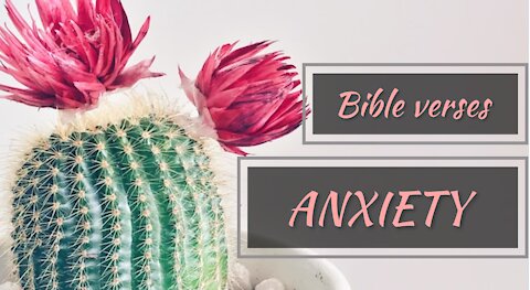 6 Bible verses for ANXIETY PART 6/scriptures for anxiety and fear//Bible anxiety and worry