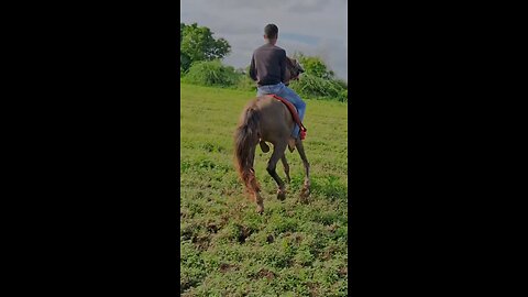 how to horse riding