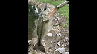 City Lake Fishing