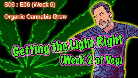 S06 E06 - Organic Cannabis Grow (Week 6) How to Get the Light Right in Early Veg