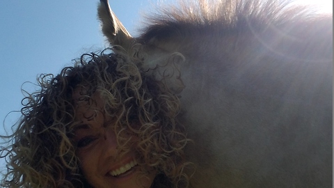 Foal giving human Momma hugs