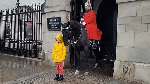 Horse sees a kid in yellow a rain coat turns in to pennywise 😆 🤣 😂 #horseguardsparade