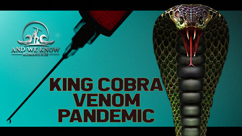 4.13.22: VENOM, COBRAS, Digital Warriors, NYC...more EXPOSURE of the [DS} evil! PRAY!