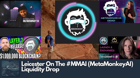 Leicester On The #MMAI (MetaMonkeyAI) Liquidity Drop