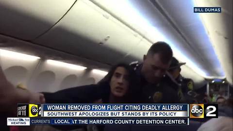 Woman Removed From Southwest Flight Because Of Deathly Dog Allergy