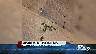 Woman says apartment plagued with mold, roaches & more