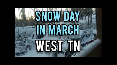 Snow Day in March West Tennessee - Ann's Tiny Life