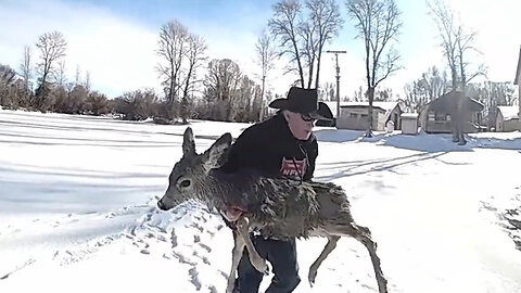 Sheriff Rescues Deer In Frozen Lake By Lasso