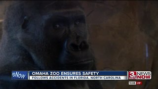 Omaha zoo ensures safety at Henry Doorly following accidents in North Carolina, Florida