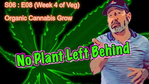 S06 E08 - Organic Cannabis Grow (Day #50) Week 4 of Veg || Caring for a Runt || BlueMat Soil Meter