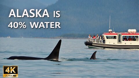 BEAUTIFUL ALASKA TRAVEL GUIDE | ANCHORAGE | KETCHIKAN | HOMER