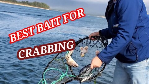 Filipina in USA/ BEST BAIT FOR CRABBING🦀 Crabbing from the Jetty Fishery at Nehalem Bay, Oregon