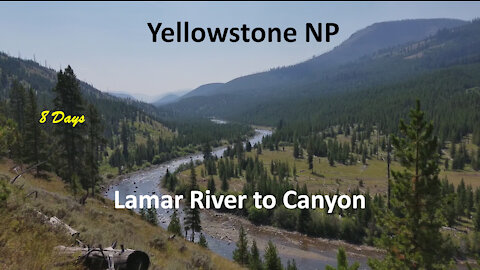 8 Days In Yellowstone - Lamar River To Canyon