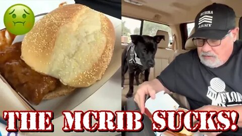 McDonald's McRib is a RIB!! - Bubba's Drive Thru Food Review