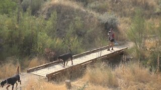 Etiquette becomes more important as usage increases in the Ridge to Rivers trail system