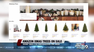 Fresh-cut Christmas trees available now on Amazon
