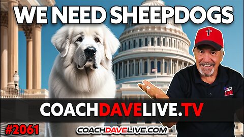 WE NEED SHEEPDOGS | 1-10-2024