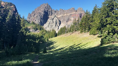 BITE SIZED WILDS | STUNNING Upper Canyon Creek Meadow & Three Fingered Jack Mountain! | 4K | Oregon