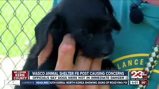 Dogs rescued, adopted after Facebook post causes concern