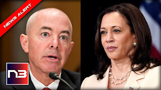 Biden’s DHS Sec. Mayorkas CORNERED with Questions about Kamala Harris’ Border Trip
