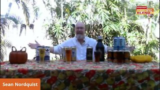 Fall Beers | Morning Blend