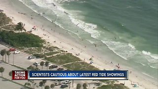 Red tide bloom getting smaller and further from beaches, but still a threat