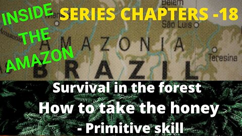 Survival in the forest How to take the honey - Primitive skill 1