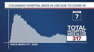 GRAPH: COVID-19 hospital beds in use as of August 7, 2020