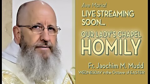 Wednesday in the Octave of Easter - April 3, 2024 - HOMILY