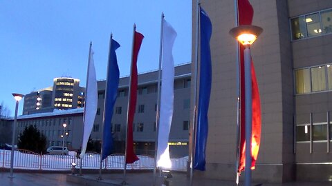 A Group Of Flags Forms The Russian Tricolor
