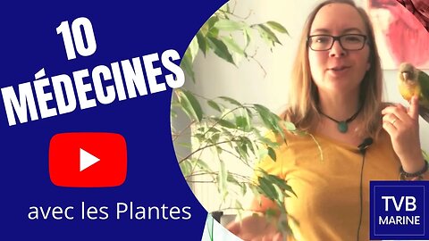 10 médecines naturelles à bases de plantes