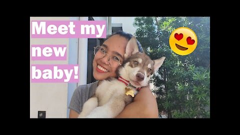 MY NEW BABY! | ALMOND THE HUSKY EP 1