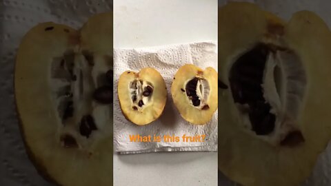 What Fruit is This?