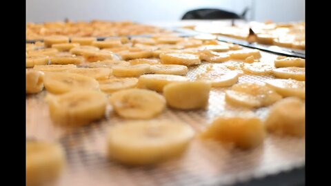 Dehydrator Recipes for the New Year - Banana Chips!