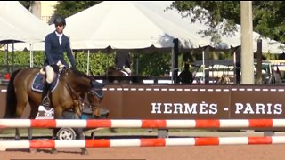 Winter equestrian festival brings in millions