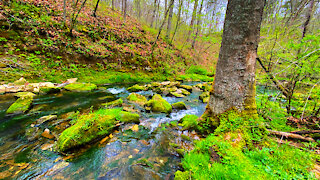 Exploring Cave River Valley in Southern Indiana