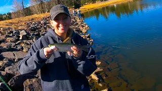 Targeting Big Brown Trout - Greer AZ