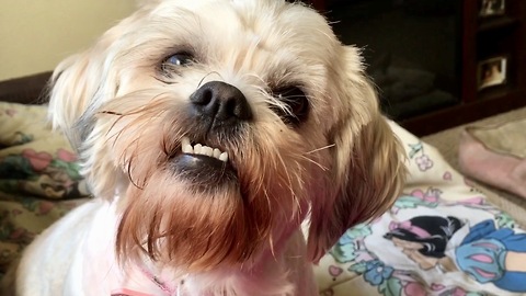 The most adorable underbite ever