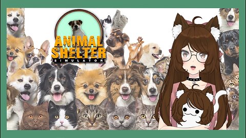 Animal Shelter Part 1