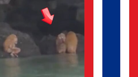 The troll-like creature was found by a kayaker [conspiracy]