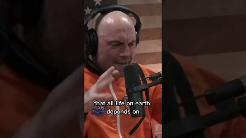 Joe Rogan talks with the infamous Duncan Trussell