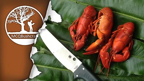 Bushcraft Catching & Cooking Crayfish
