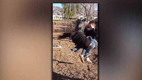 Three Teen Girls VS One Tire Swing